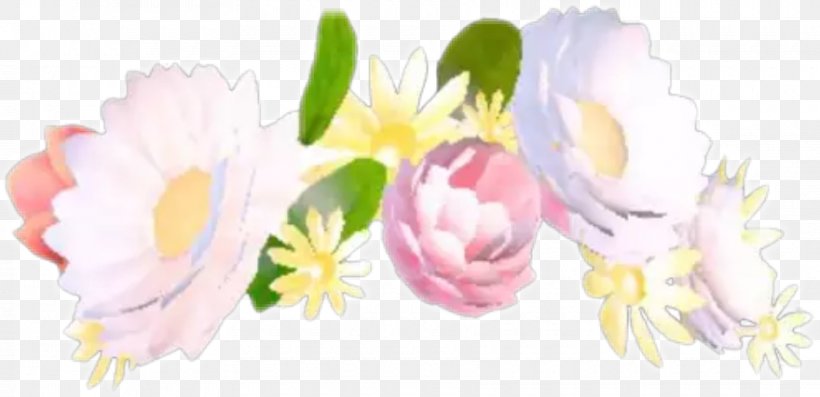 Flower Snapchat Crown, PNG, 880x427px, Flower, Art, Crown, Cut Flowers, Drawing Download Free