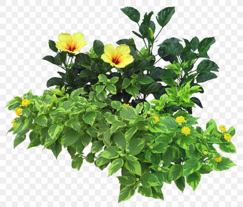 Flowerpot Grow Light Hydroponics Plastic Plant, PNG, 1199x1023px, Flowerpot, Annual Plant, Flower, Flowering Plant, Garden Download Free