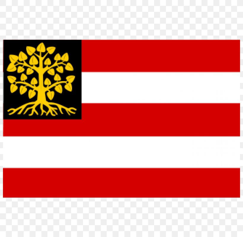 Vlag Van 's-Hertogenbosch Flag Naarden, PNG, 800x800px, Shertogenbosch, Area, Brand, Flag, Flag Of North Brabant Download Free