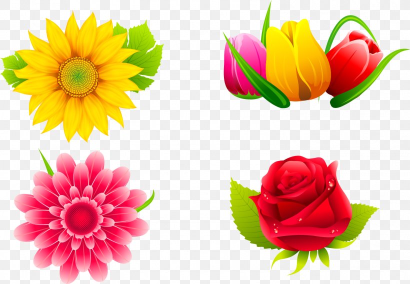 Clip Art Vector Graphics Stock Photography Illustration, PNG, 1501x1041px, Stock Photography, Cut Flowers, Dahlia, Daisy Family, Floral Design Download Free