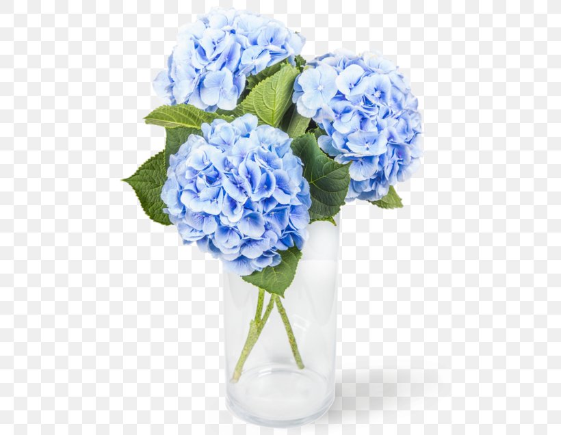 Cabbage Rose Cut Flowers Floral Design Photography Vase, PNG, 636x636px, Cabbage Rose, Artificial Flower, Blue, Cornales, Cut Flowers Download Free