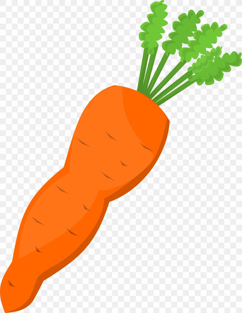 Carrot Vegetable Clip Art, PNG, 1859x2400px, Carrot, Baby Carrot, Fish, Food, Free Content Download Free