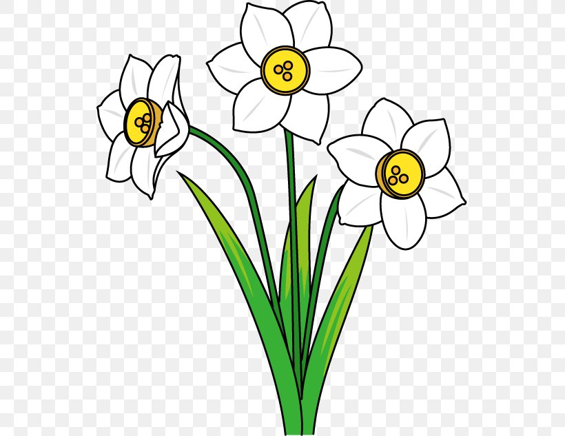 Daffodil Flower Clip Art, PNG, 539x633px, Daffodil, Artwork, Black And White, Blog, Can Stock Photo Download Free