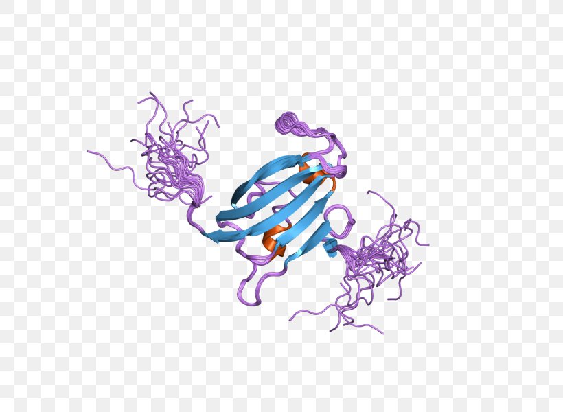 FKBP10 FKBP8 Gene Calcineurin, PNG, 800x600px, Fkbp, Art, Calcineurin, Enzyme Inhibitor, Gene Download Free