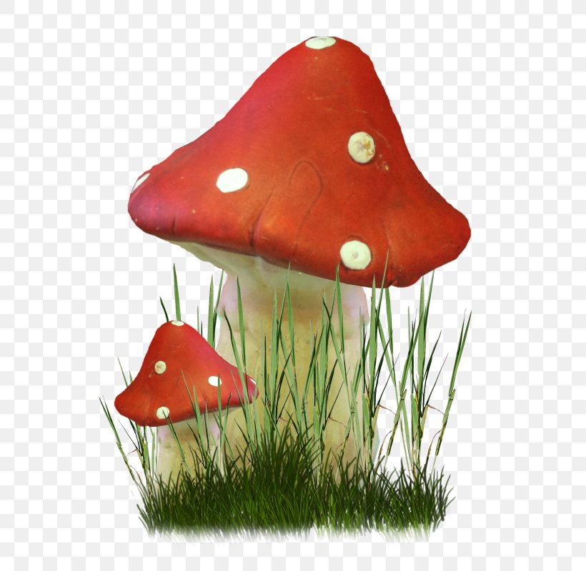 Fungus Mushroom Herbaceous Plant Clip Art, PNG, 744x800px, Fungus, Animaatio, Drawing, Flower, Herbaceous Plant Download Free