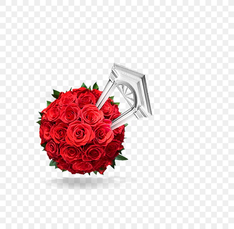 Icon, PNG, 800x800px, Creativity, Carnation, Cut Flowers, Floral Design, Floristry Download Free