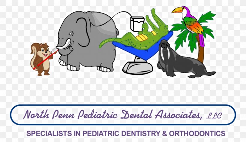 Lansdale Pediatric Dentistry Tooth Decay, PNG, 1024x591px, Lansdale, Amalgam, Animal Figure, Area, Art Download Free