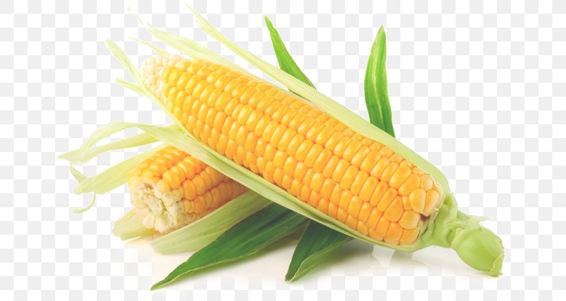 Maize Sweet Corn Corn On The Cob Vegetable Starch, PNG, 655x436px, Maize, Agriculture, Cereal, Commodity, Corn Kernels Download Free