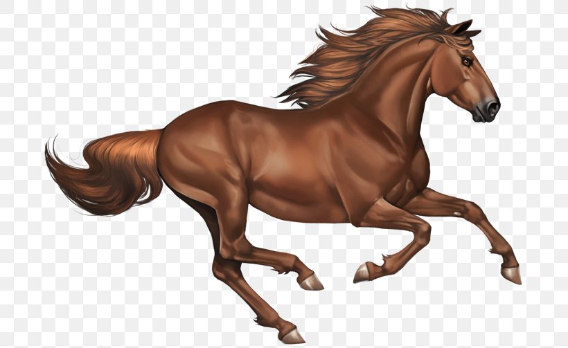 Mustang Stallion Mare Foal Mane, PNG, 700x503px, Mustang, Animal Figure, Bridle, Buckskin, Domestic Animal Download Free