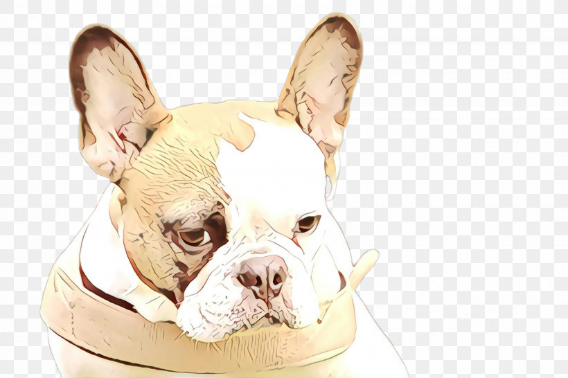French Bulldog, PNG, 2448x1632px, Dog, Bulldog, Companion Dog, Ear, French Bulldog Download Free