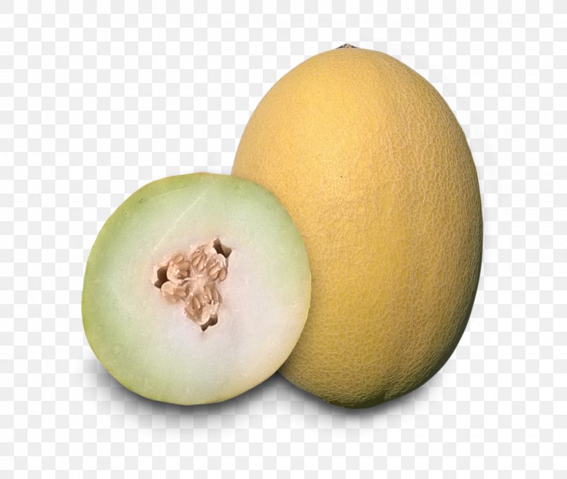Honeydew Cantaloupe Galia Melon ZKI Zrt. Research, PNG, 1030x871px, Honeydew, Cantaloupe, Cucumber Gourd And Melon Family, Cucumis, Food Download Free