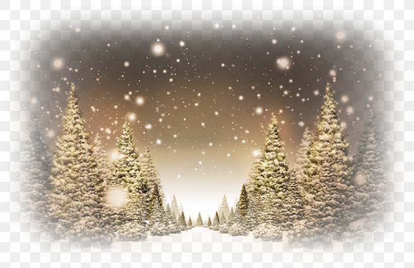 Christmas Tree Desktop Wallpaper Public Holiday, PNG, 855x554px, Christmas, Christmas And Holiday Season, Christmas Decoration, Christmas Music, Christmas Tree Download Free