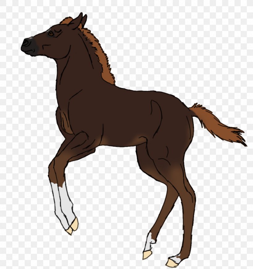 Foal Mustang Stallion Colt Mare, PNG, 900x954px, Foal, Animal Figure, Bridle, Colt, Halter Download Free