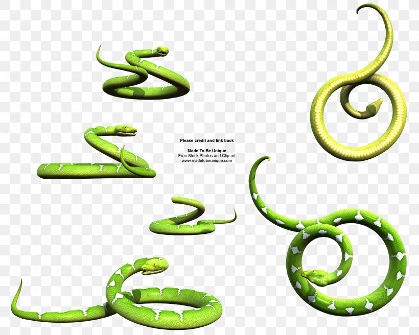 Snake Green Tree Python Clip Art, PNG, 4000x3200px, Snake, Animal Figure, Art, Artwork, Body Jewelry Download Free
