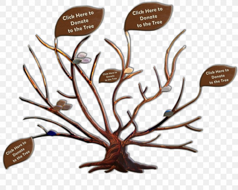 Branch Adoption Family Tree Genealogy, PNG, 1500x1200px, Branch, Adoption, Child, Family, Family Tree Download Free