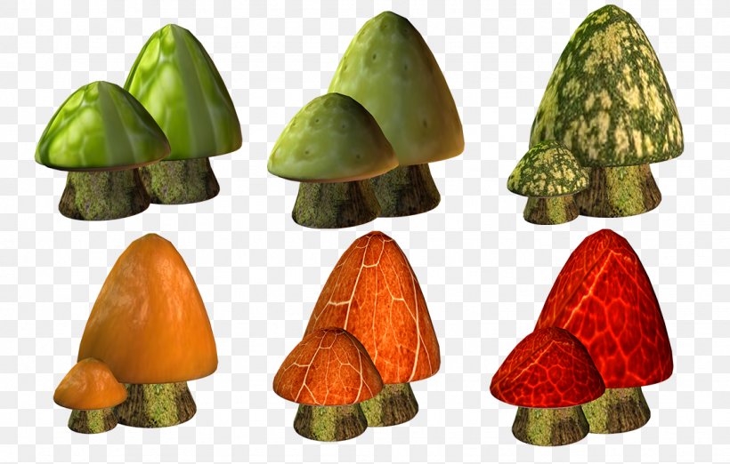 Mushroom Fungus Red, PNG, 1126x718px, Fungus, Fruit, Google Images, Mushroom, Produce Download Free