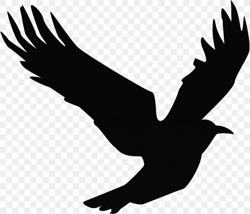 Raven Halloween Crow, PNG, 1028x880px, Raven, Beak, Bird, Bird Of Prey, Crow Download Free