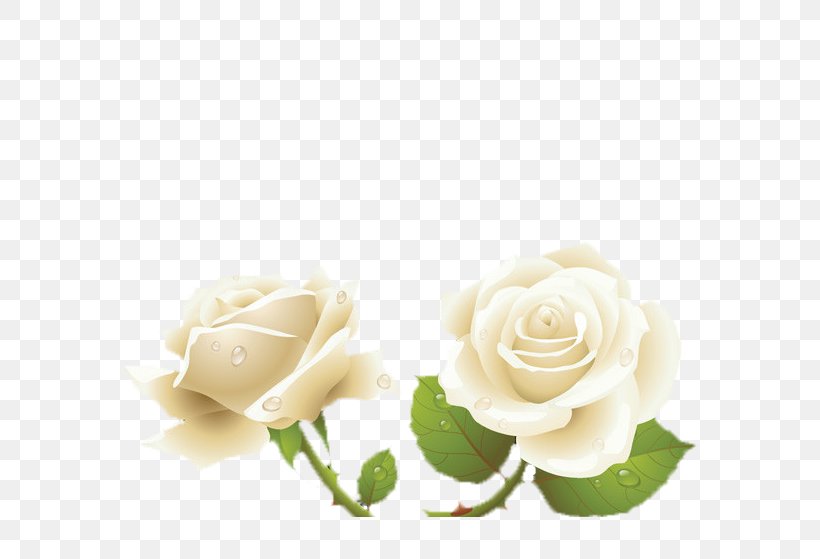 Rosa Xd7 Alba Garden Roses Flower Light, PNG, 600x559px, Rosa Xd7 Alba, Artificial Flower, Auglis, Cultivar, Cut Flowers Download Free