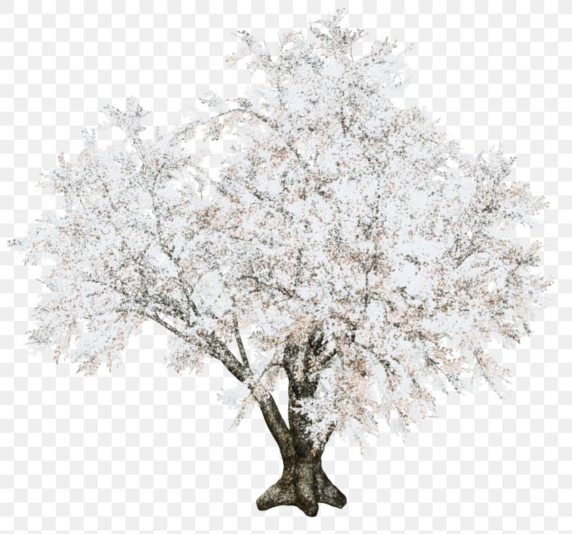 Twig Tree Christmas Day Snow, PNG, 800x765px, Twig, Blossom, Branch, Christmas Day, Christmas Tree Download Free