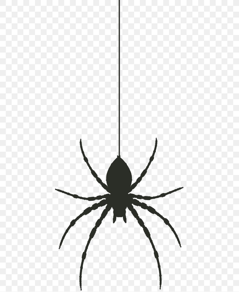 Widow Spiders, PNG, 693x1001px, Widow Spiders, Arachnid, Arthropod, Black And White, Book Illustration Download Free
