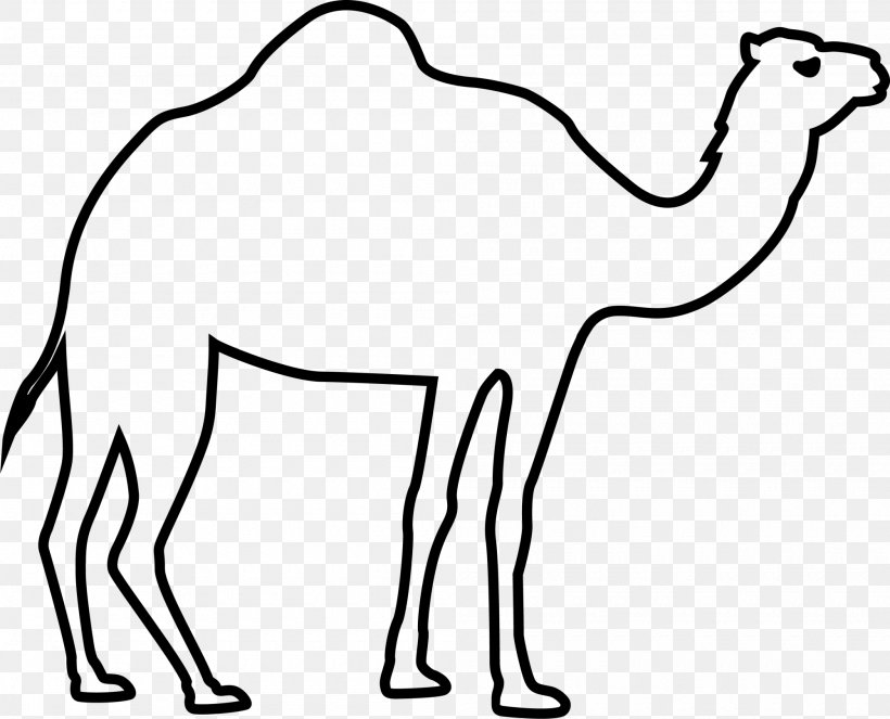 Camel Eid Al-Fitr Eid Al-Adha, PNG, 2000x1618px, Camel, Arabian Camel, Area, Bayram, Black And White Download Free