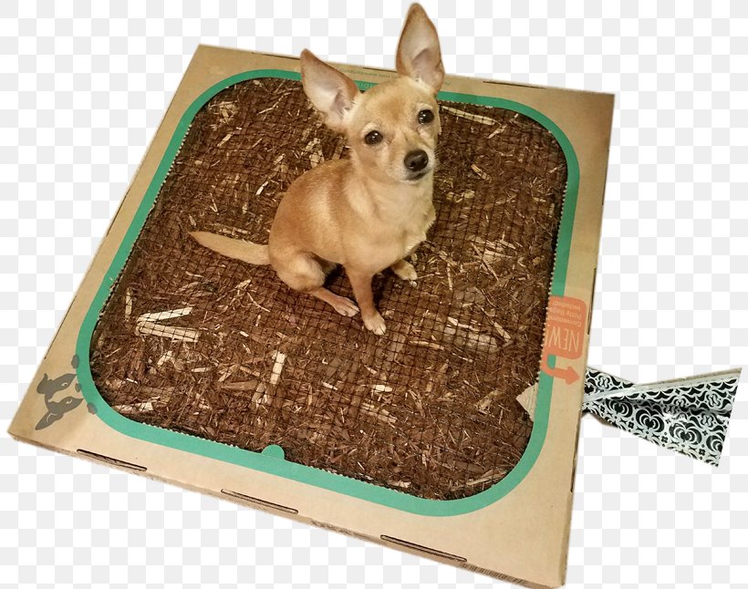 Dog Breed Chihuahua Puppy Bed, PNG, 809x646px, Dog Breed, Bed, Breed, Carnivoran, Chihuahua Download Free
