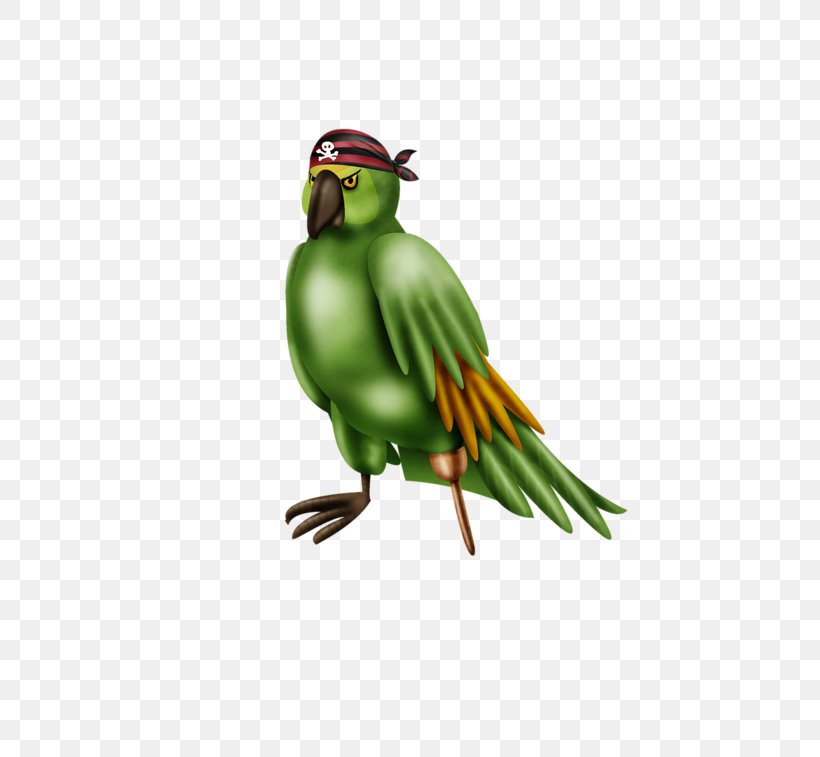 Hummingbird Macaw, PNG, 800x757px, Bird, Beak, Blue, Fauna, Feather Download Free