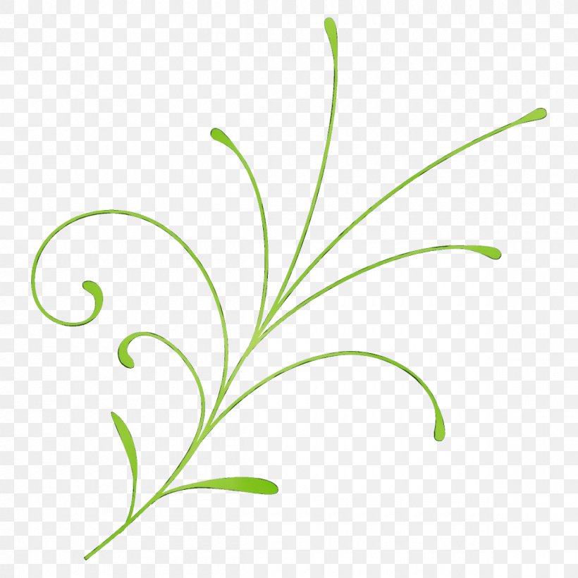 Leaf Green Plant Grass Flower, PNG, 1200x1200px, Watercolor, Flower, Flowering Plant, Grass, Grass Family Download Free