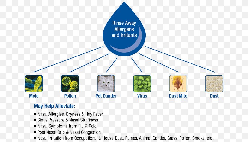 Nasal Irrigation Saline Nose Sinus Infection Nasal Cavity, PNG, 700x470px, Nasal Irrigation, Allergy, Area, Communication, Diagram Download Free