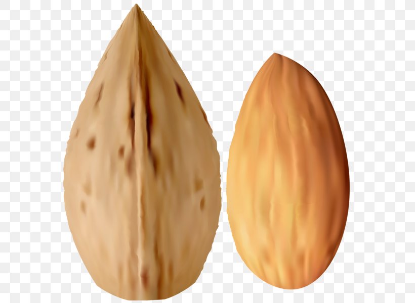 Nut Almond Clip Art, PNG, 577x600px, Nut, Almond, Almond Milk, Chocolate, Commodity Download Free