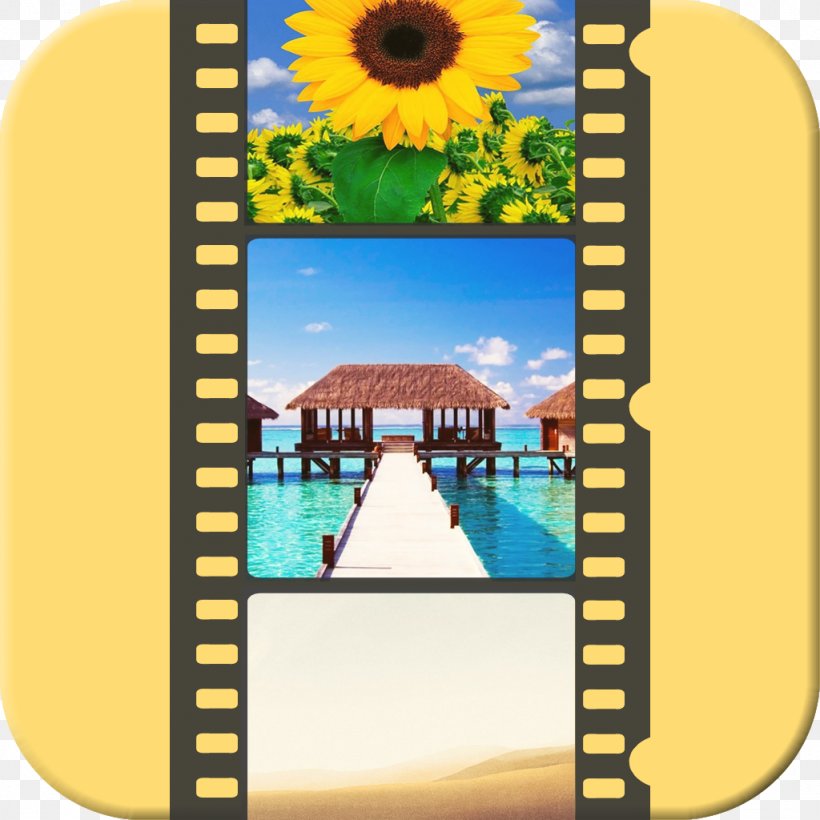 IPod Touch IPhone 7 Plus App Store Slow Motion Maldives, PNG, 1024x1024px, Ipod Touch, App Store, Flower, Ipad, Iphone Download Free