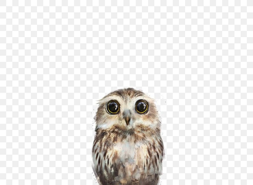 Little Owl Amy Hamilton Design + Illustration Bird Poster, PNG, 600x598px, Owl, Amy Hamilton Designillustration, Animal, Art, Beak Download Free