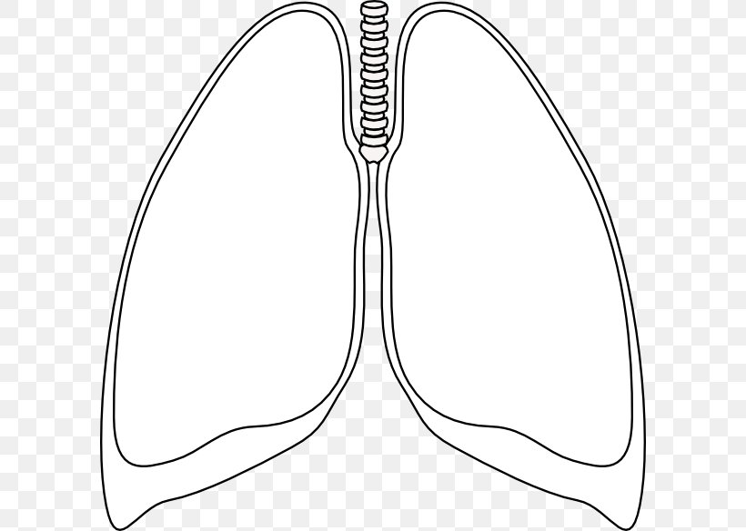 Lung Pneumothorax Clip Art, PNG, 600x584px, Lung, Area, Black And White, Bronchus, Ceramic Download Free