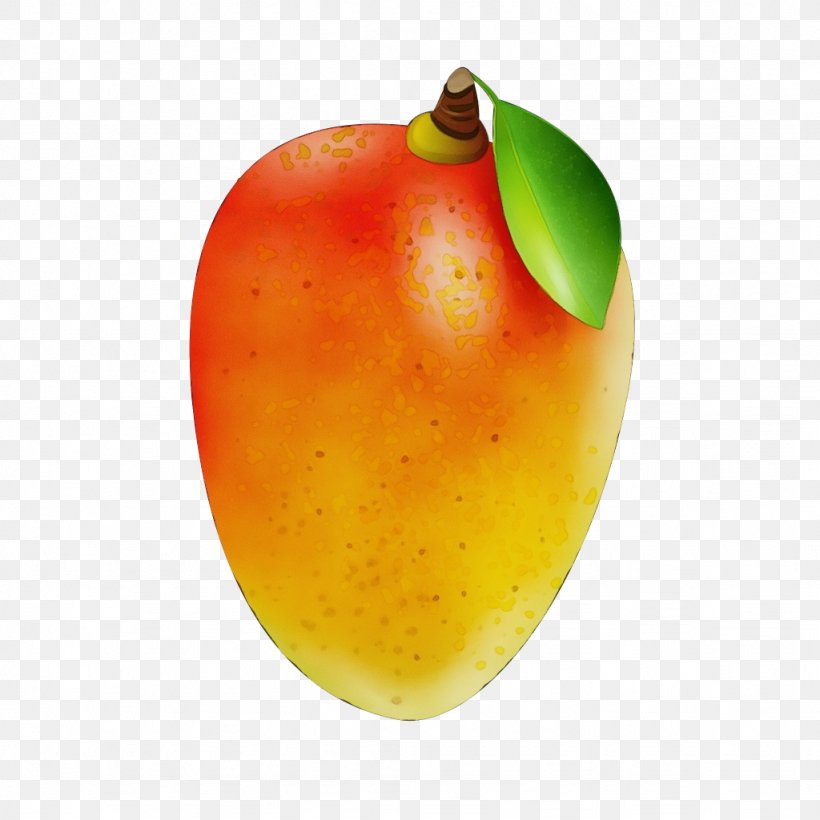Mango, PNG, 1024x1024px, Watercolor, Accessory Fruit, Food, Fruit, Mango Download Free