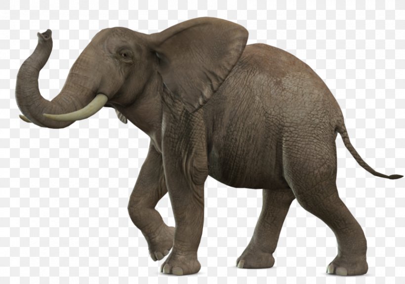 African Bush Elephant Elephantidae Clip Art, PNG, 860x604px, African Bush Elephant, African Elephant, Animal Figure, Borneo Elephant, Elephant Download Free