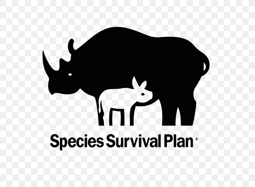 Asian Elephant Endangered Species Species Survival Plan Zoo Red Panda, PNG, 600x600px, Asian Elephant, Animal Breeding, Association Of Zoos And Aquariums, Black And White, Brand Download Free