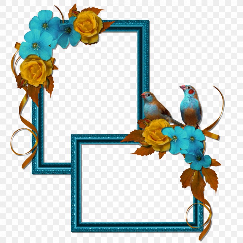 Bird, PNG, 2400x2400px, Bird, Flower, Macaw, Picture Frame, Resource Download Free