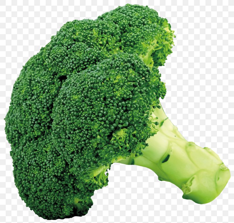 Broccoli Cruciferous Vegetables Cauliflower Cabbage, PNG, 816x784px, Broccoli, Bell Pepper, Brassica Oleracea, Broccoli Slaw, Cabbage Download Free