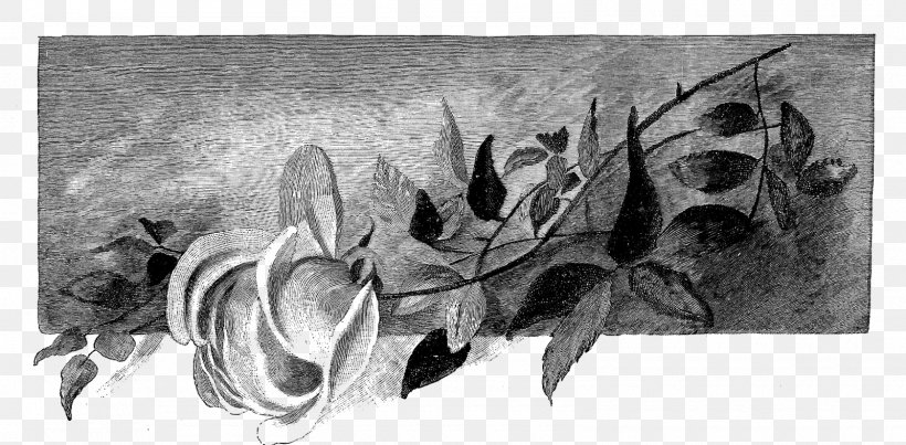 Drawing Visual Arts Painting Sketch, PNG, 1600x787px, Drawing, Art, Artwork, Black And White, Craft Download Free