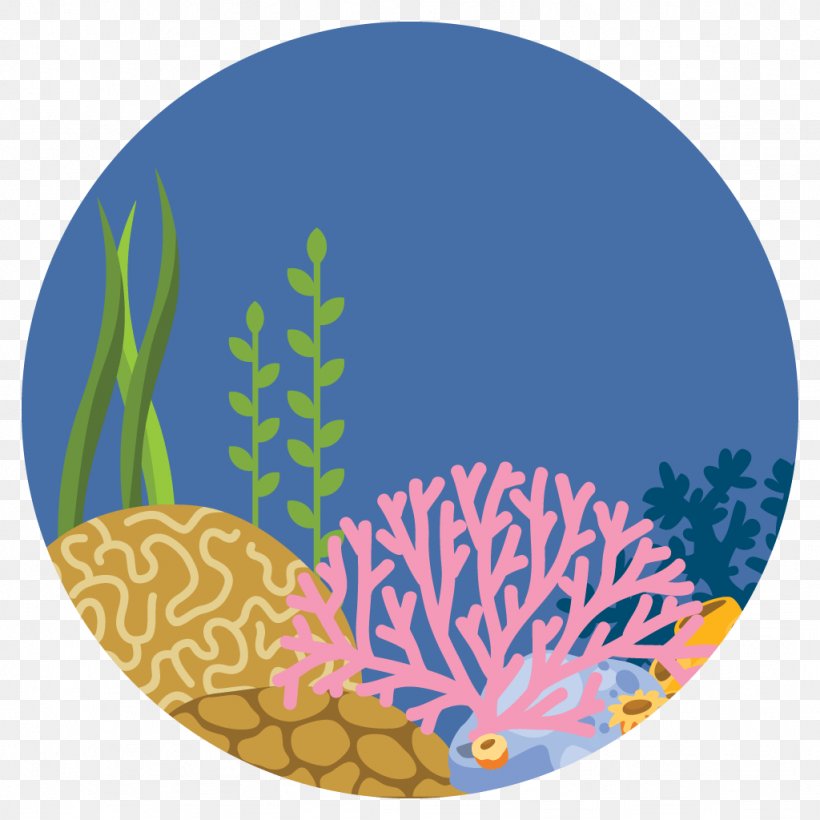 Illustration Green Sea Turtle Clip Art Marine Life, PNG, 1024x1024px, Green Sea Turtle, Aquatic Animal, Bivalvia, Fish, Invertebrate Download Free