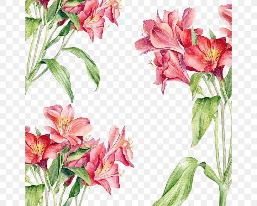 Watercolor Painting Drawing Illustration, PNG, 658x658px, Watercolor Painting, Alstroemeriaceae, Annual Plant, Art, Behance Download Free