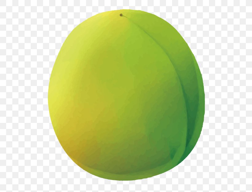 3D Computer Graphics Auglis Fruit, PNG, 625x625px, 3d Computer Graphics, Auglis, Computer Graphics, Fruit, Green Download Free