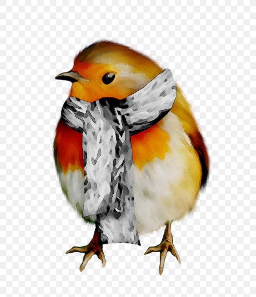 Bird European Robin Beak Old World Flycatcher Songbird, PNG, 800x951px, Watercolor, Beak, Bird, European Robin, Finch Download Free