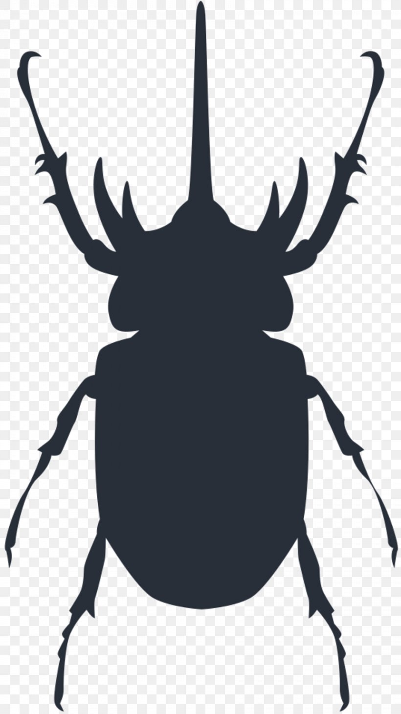 Clip Art Insect Black & White, PNG, 861x1533px, Insect, Arthropod, Beetle, Black White M, Blister Beetles Download Free