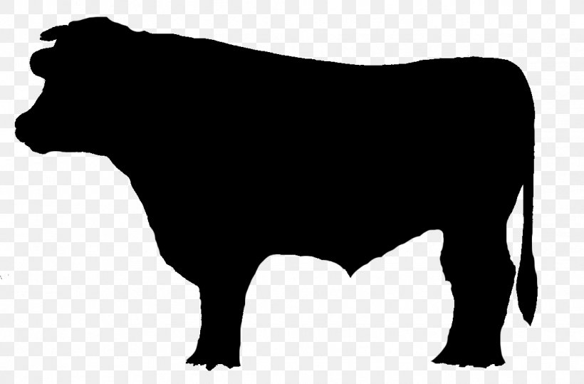Dairy Cattle Bull Brangus Chophouse Restaurant Ox, PNG, 1144x752px, Dairy Cattle, Ale, Black, Black And White, Brangus Download Free