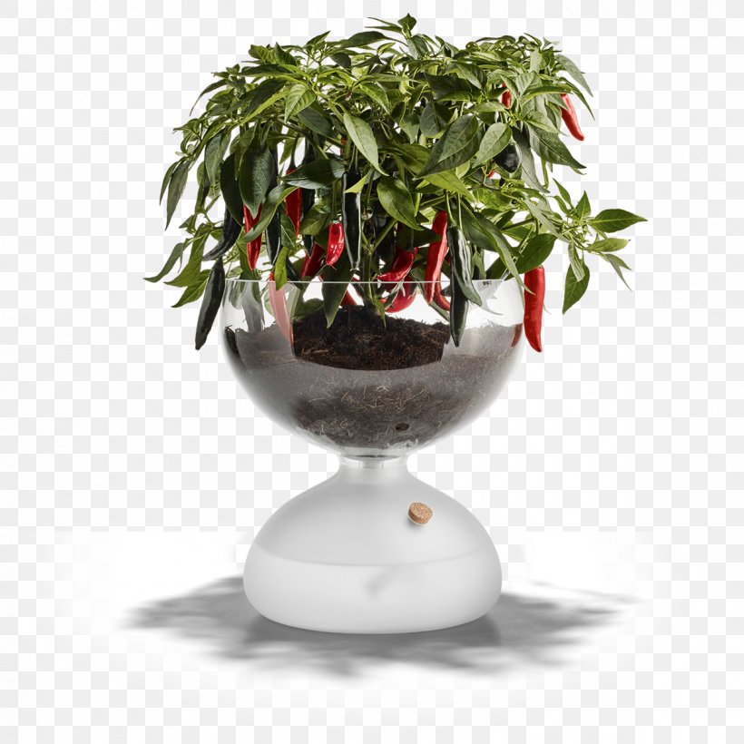 Holmegaard Frosted Glass Flowerpot Greenhouse, PNG, 1200x1200px, Holmegaard, Andis Barber Combo 66325, Bowl, Candlestick, Flowerpot Download Free