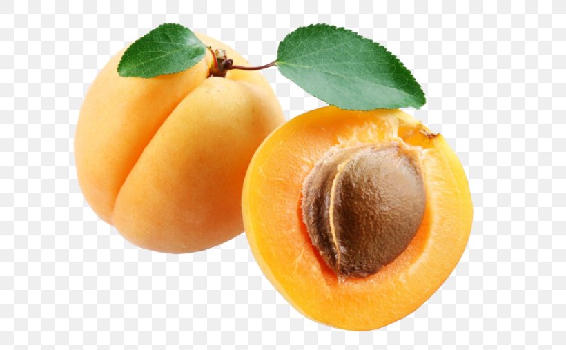 Clip Art Apricot Image Openclipart, PNG, 640x507px, Apricot, Apricot Kernel, Dried Apricot, European Plum, Food Download Free