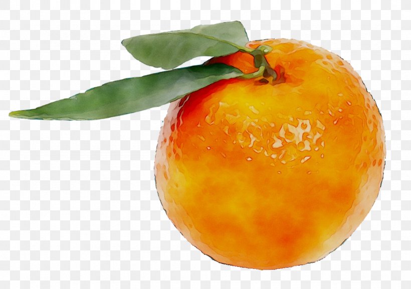 Diet Food Tangerine Mandarin Orange, PNG, 1078x759px, Food, Accessory Fruit, Apple, Citrus, Clementine Download Free