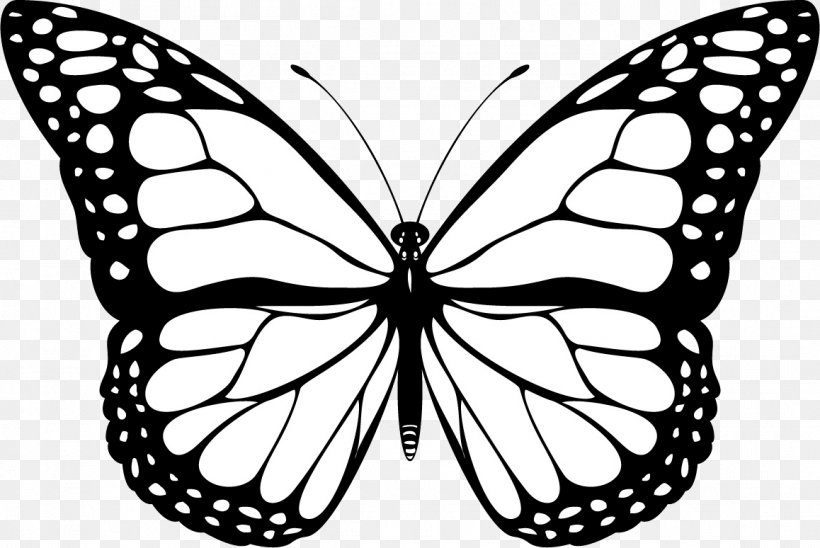 Butterfly Black And White YouTube Clip Art, PNG, 1158x774px, Butterfly, Arthropod, Black, Black And White, Black Butterfly Download Free