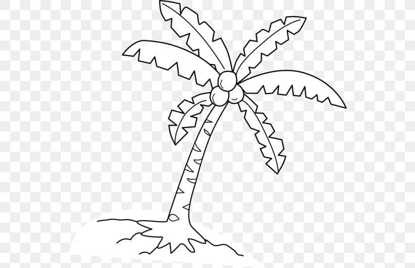 Coloring Book Coconut Arecaceae Tree Drawing, PNG, 550x530px, Coloring Book, Area, Arecaceae, Black And White, Branch Download Free